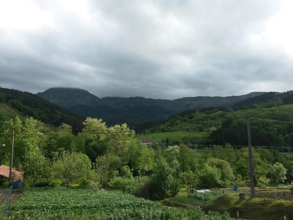 Bide-ondo 3*